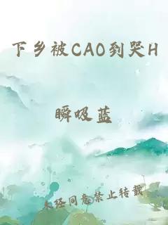 下乡被CAO到哭H