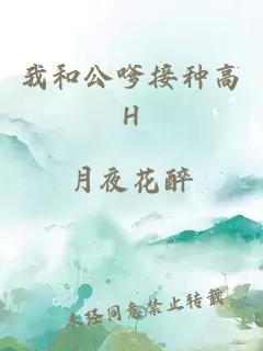 我和公嗲接种高H