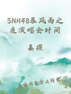 SNH48暴风雨之夜演唱会时间