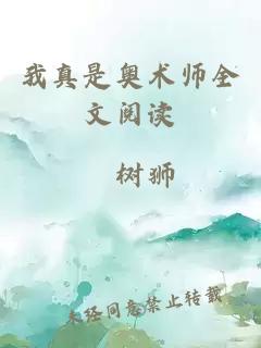 我真是奥术师全文阅读