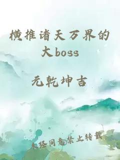 横推诸天万界的大boss