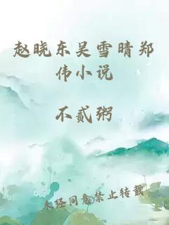 赵晓东吴雪晴郑伟小说