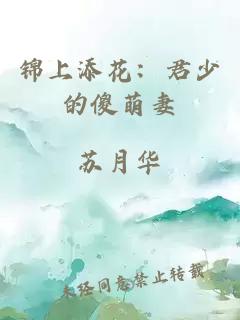 锦上添花：君少的傻萌妻