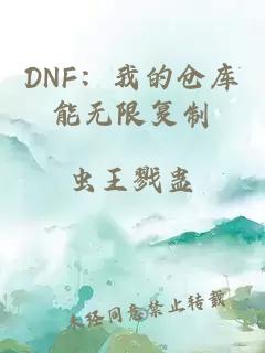 DNF：我的仓库能无限复制